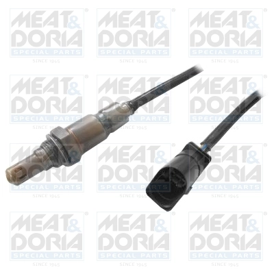 Oxygen Sensor